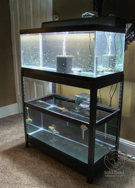 Solid Gold The Perfect Rack For 40 Gallon Tanks Fish Tank Stand