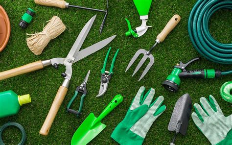 Lawn Maintenance Tips Tools And Importance Zameen Blog