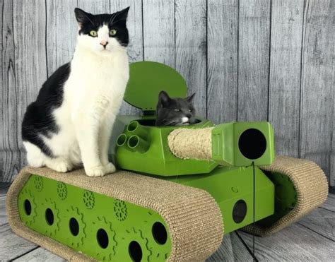 Top 10 Amazing And Unusual Cat Ts They Will Love