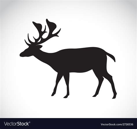 Deer Royalty Free Vector Image Vectorstock