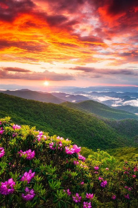 Appalachian Mountains Spring Flowers Sunset Landscape Photography