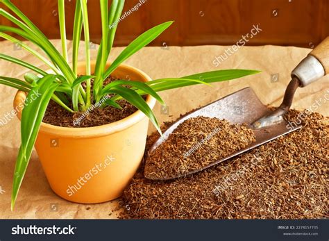 Coir Pith: Over 21 Royalty-Free Licensable Stock Photos | Shutterstock