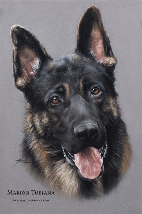 Wow Dont Even Know What To Say About This Art This German Shepherd