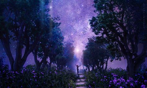 Download Mobile Wallpaper Fantasy Art Violet Forest Starry Sky
