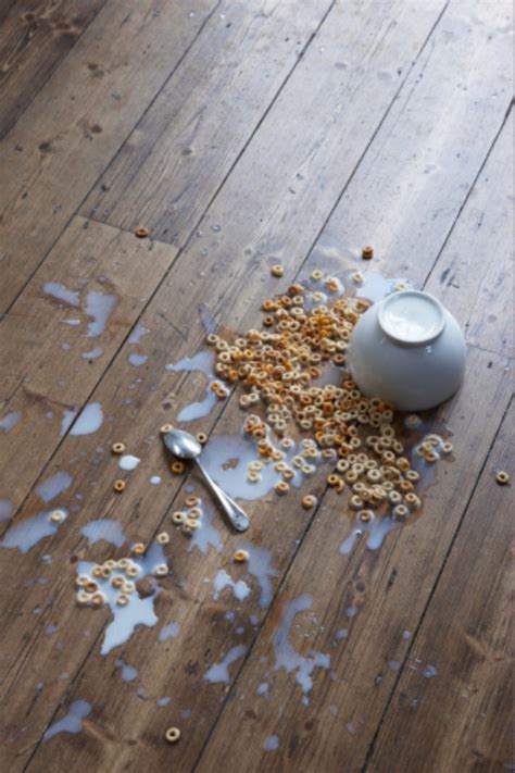 Calling All Food Droppers The Five Second Rule May Actually Be Real