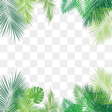 ✓ free for commercial use ✓ high quality images. Tropical Leaves PNG Images | Vector and PSD Files | Free Download on Pngtree