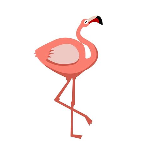 Pink Flamingo Bird Vector Illustration 7799402 Vector Art At Vecteezy