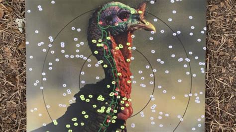 Its Time To Pattern Your Shotgun For Turkey Season Louisiana Sportsman