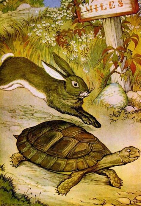 Tutikalanjiam Story Of Hare And Tortoise
