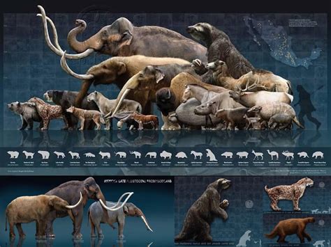 megafauna extinction tracing origins