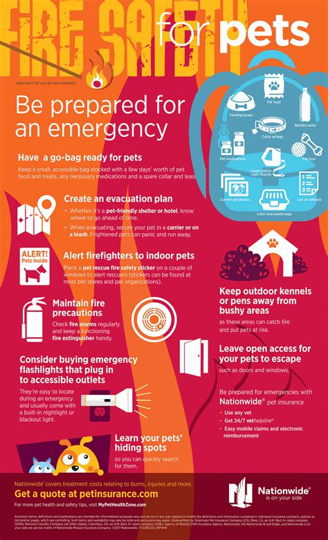 Pet Fire Safety Infographic Pet Health Insurance And Tips