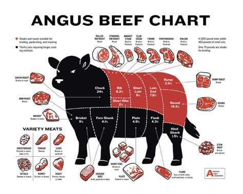 Beginners Guide To Beef Cuts Angus Beef Butcher Chart Laminated Wall