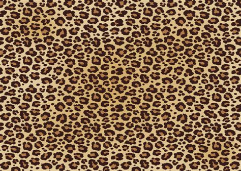 38629 Best Cheetah Print Images Stock Photos And Vectors Adobe Stock