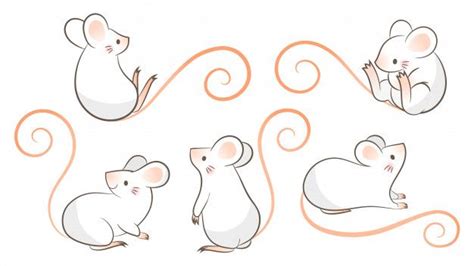 Premium Vector Set Of Hand Drawn Rats Mouse In Different Poses
