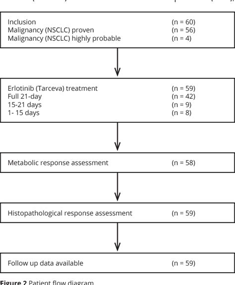 Figure 1 From Skin Rash In Patients Treated With Neoadjuvant Erlotinib