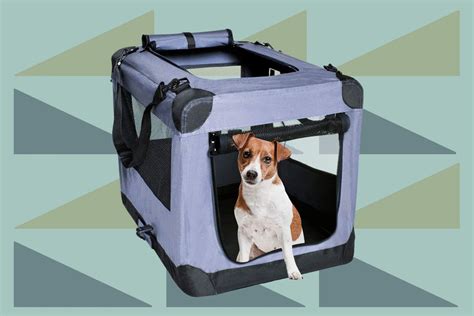 13 Best Dog Travel Crates Daily Paws
