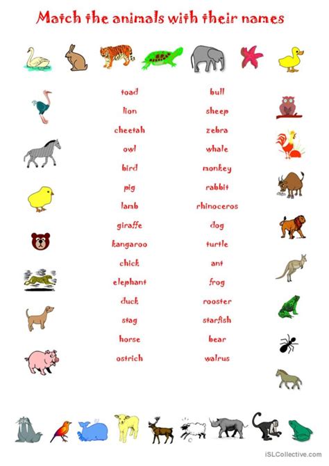 Animals English Esl Worksheets Pdf And Doc