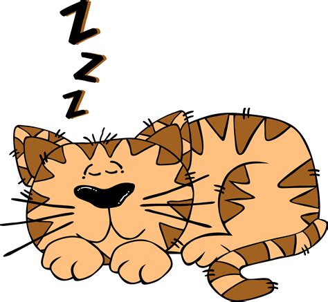 Cartoon Cat Sleeping Cat Sleeping Cartoon Cat Cat Clipart