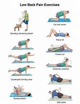 Lower Back Pain Exercises Images