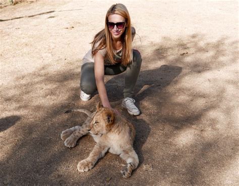 Petting A Lion Cub In South Africa Lion And Safari Park Travel With Anda