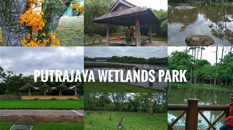 Breakfast charge (unless included in room price): Wetlands Park putrajaya in kualalumpur malasiya - YouTube