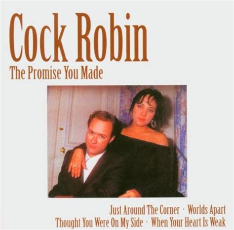 The Promise You Made Cock Robin Amazonfr Cd Et Vinyles