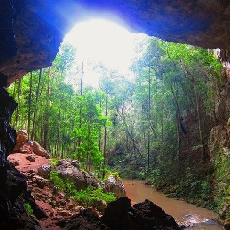 Rio Frio Cave In Mountain Pine Ridge Of Belize