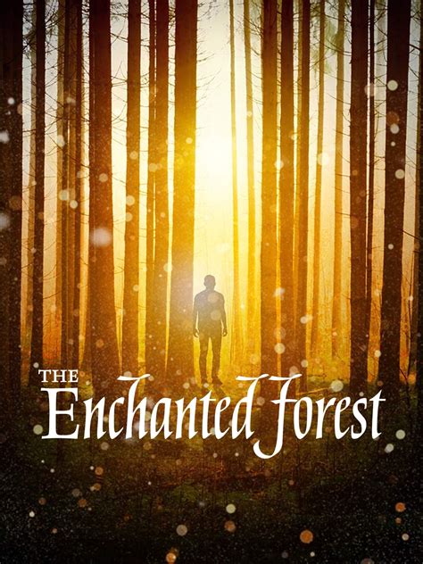 The Enchanted Forest 2020 Posters — The Movie Database Tmdb