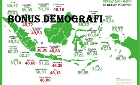 Pengertian Bonus Demografi Indonesia Beserta Dampak Pengaruhnya Ayproject
