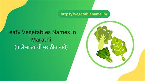 15 Leafy Vegetables Names In Marathi पालेभाज्यांची मराठीत नावे