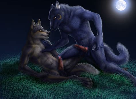 Rule 34 2011 Anthro Balls Blue Fur Canine Fur Furry Gay Knot Lube