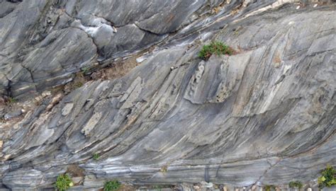 Tectonics And Structural Geology Features From The Field Shear Zones