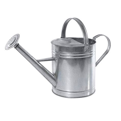 Watering Can Pictures Images And Stock Photos Istock
