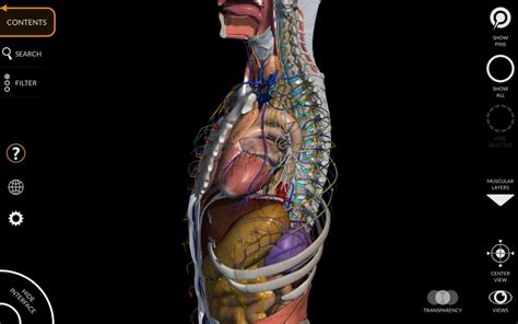 Anatomy 3d Atlas Free Download For Pc And Mac 2020 Latest
