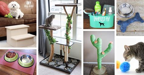 24 Best Diy Pet Ideas And Projects For 2021