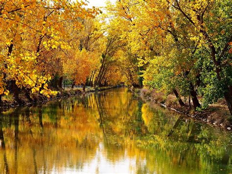 Autumn River 4k Ultra Hd Wallpaper Background Image 4608x3456 Id