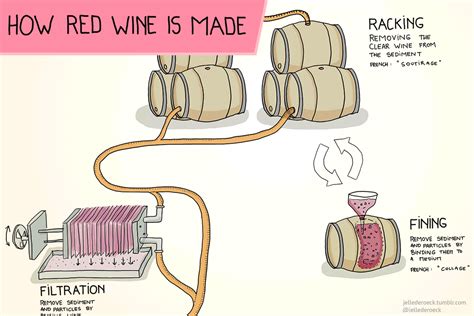 How Red Wine Is Made Step By Step Wine Folly Red Wine Infographic