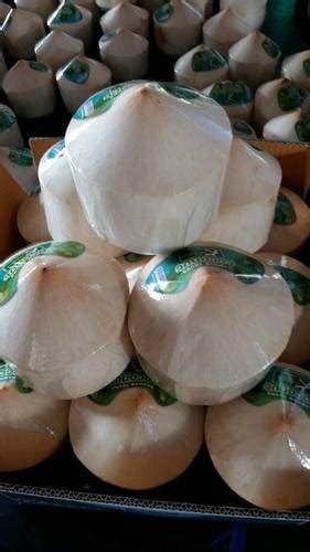 White Natural Fresh Aroma Young Coconut At Best Price In Bangkok Siam