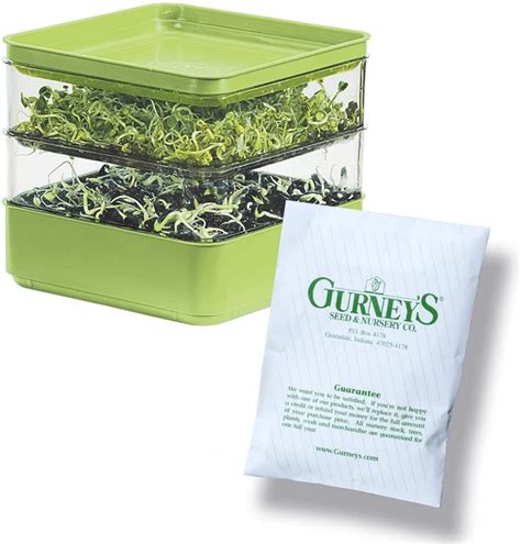 10 Best Sprout Growing Kits Buying Guide And Reviews