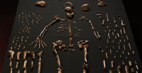 New Ancient Human Species Discovered In South African Cave Natural