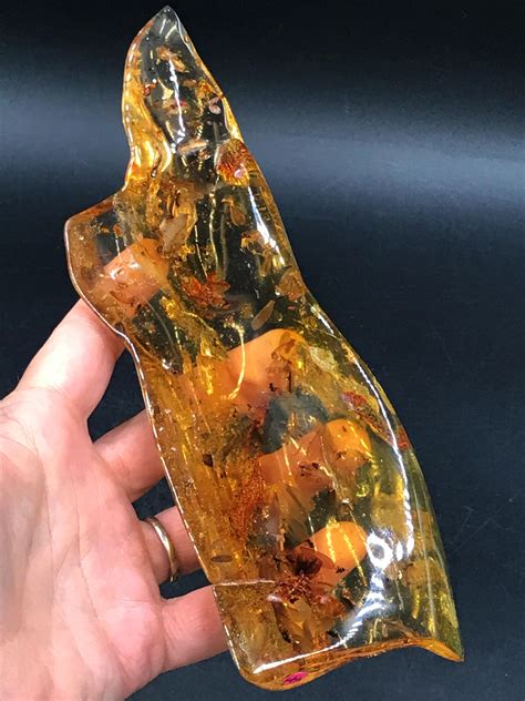 Lot Amber Fossil Natural Collectible Specimen