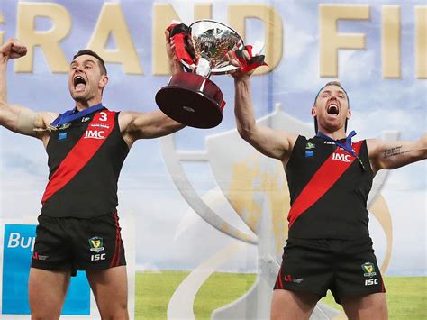 TSL finals 2020: AFL Tasmania announces number of teams to compete in finals to reduce from five 