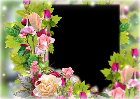 Photo Frame Psd Png Beautiful Roses