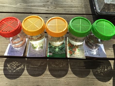 Starting Seeds In Sprouting Jars Alaska Master Gardener Blog