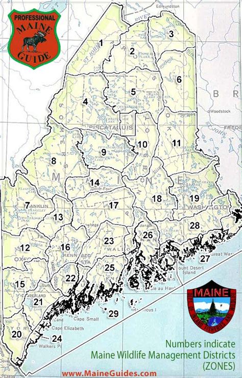 Maine Hunting Hours 2024 Meryl Suellen