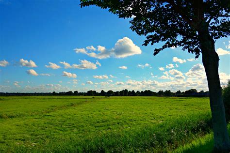 Clouds Countryside Field Grass Landscape Meadow Rural Sky Sunny 4k Wallpaper And Background