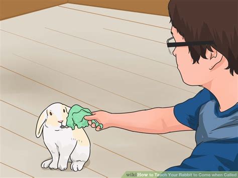 How to Teach Your Rabbit to Come when Called: 11 Steps Rabbit Litter
