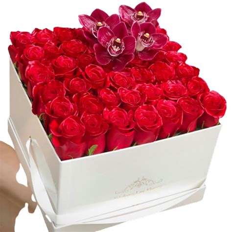 Field of flowers davie coupons. Field Of Flowers Davie Coupons : White Spray Easel Between ...