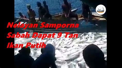 Sayur campur losun + lada putih #masakandusun #makanansabah. Nelayan Kecil Samporna Sabah Dapat 9 Tan Ikan Putih - YouTube