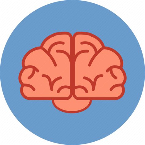 Brain, brainstorm, communication, education, human, intelligence, mind icon - Download on Iconfinder